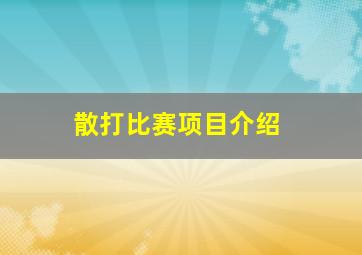 散打比赛项目介绍