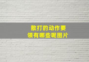 散打的动作要领有哪些呢图片