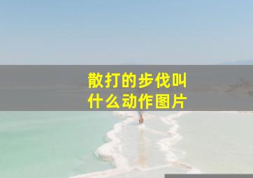 散打的步伐叫什么动作图片