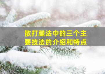 散打腿法中的三个主要技法的介绍和特点