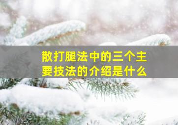 散打腿法中的三个主要技法的介绍是什么