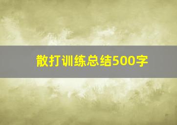 散打训练总结500字