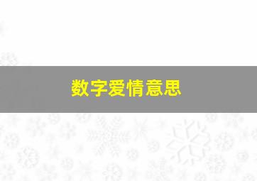 数字爱情意思