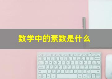 数学中的素数是什么