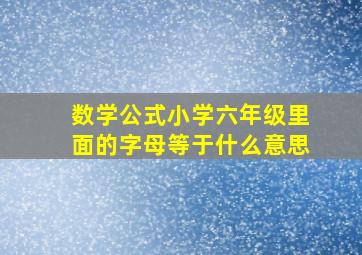 数学公式小学六年级里面的字母等于什么意思