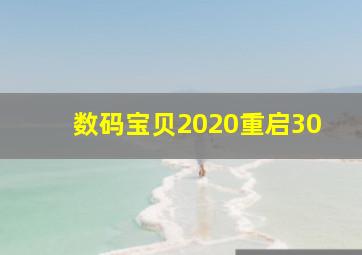 数码宝贝2020重启30