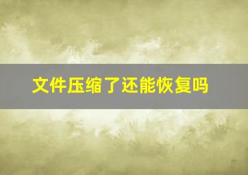 文件压缩了还能恢复吗