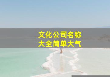 文化公司名称大全简单大气