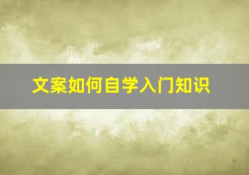 文案如何自学入门知识