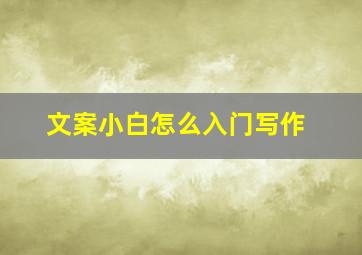 文案小白怎么入门写作