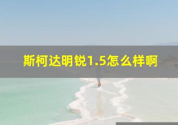 斯柯达明锐1.5怎么样啊