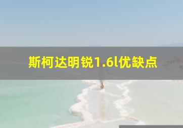 斯柯达明锐1.6l优缺点