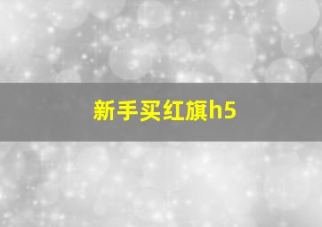 新手买红旗h5