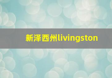 新泽西州livingston