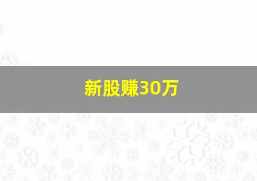 新股赚30万