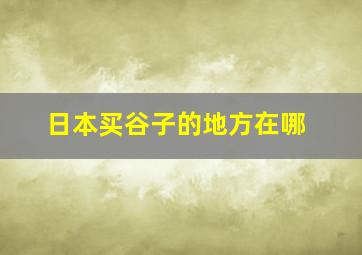 日本买谷子的地方在哪