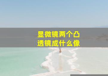 显微镜两个凸透镜成什么像