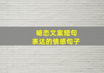 暗恋文案短句表达的情感句子