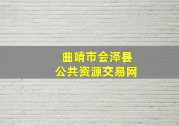 曲靖市会泽县公共资源交易网