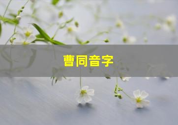 曹同音字