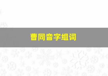 曹同音字组词