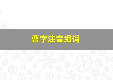 曹字注音组词