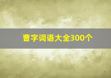 曹字词语大全300个