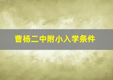 曹杨二中附小入学条件