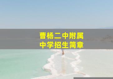 曹杨二中附属中学招生简章