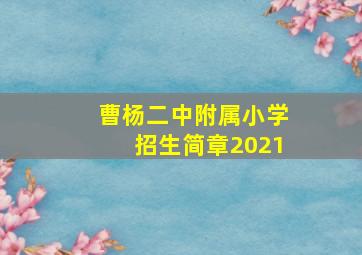 曹杨二中附属小学招生简章2021