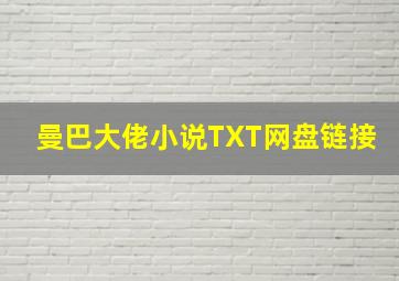 曼巴大佬小说TXT网盘链接