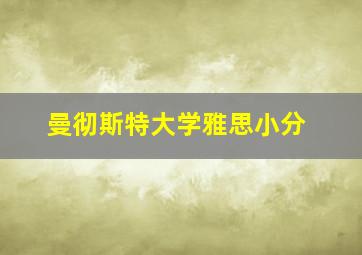 曼彻斯特大学雅思小分