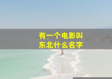 有一个电影叫东北什么名字