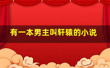 有一本男主叫轩辕的小说