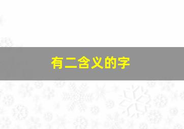 有二含义的字