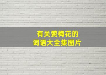 有关赞梅花的词语大全集图片