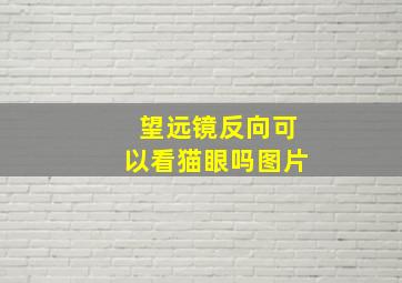 望远镜反向可以看猫眼吗图片