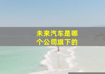 未来汽车是哪个公司旗下的