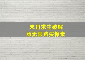 末日求生破解版无限购买像素