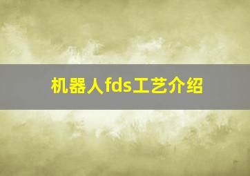 机器人fds工艺介绍