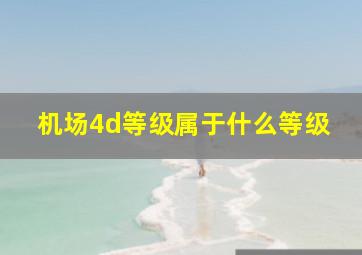 机场4d等级属于什么等级