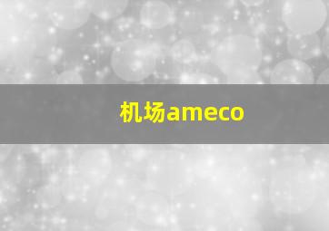 机场ameco