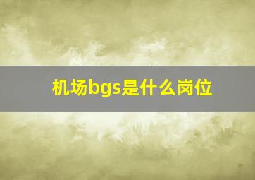 机场bgs是什么岗位