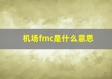 机场fmc是什么意思