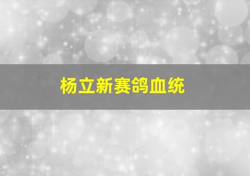 杨立新赛鸽血统