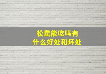 松鼠能吃吗有什么好处和坏处