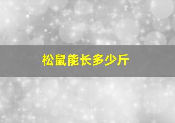 松鼠能长多少斤