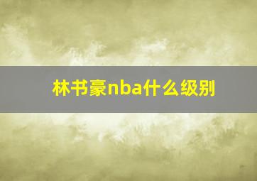 林书豪nba什么级别