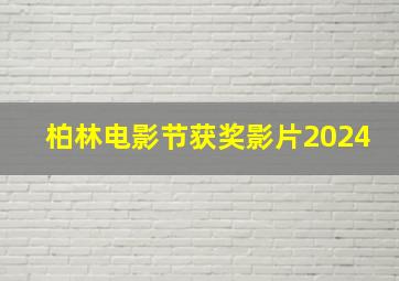 柏林电影节获奖影片2024