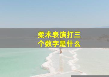 柔术表演打三个数字是什么